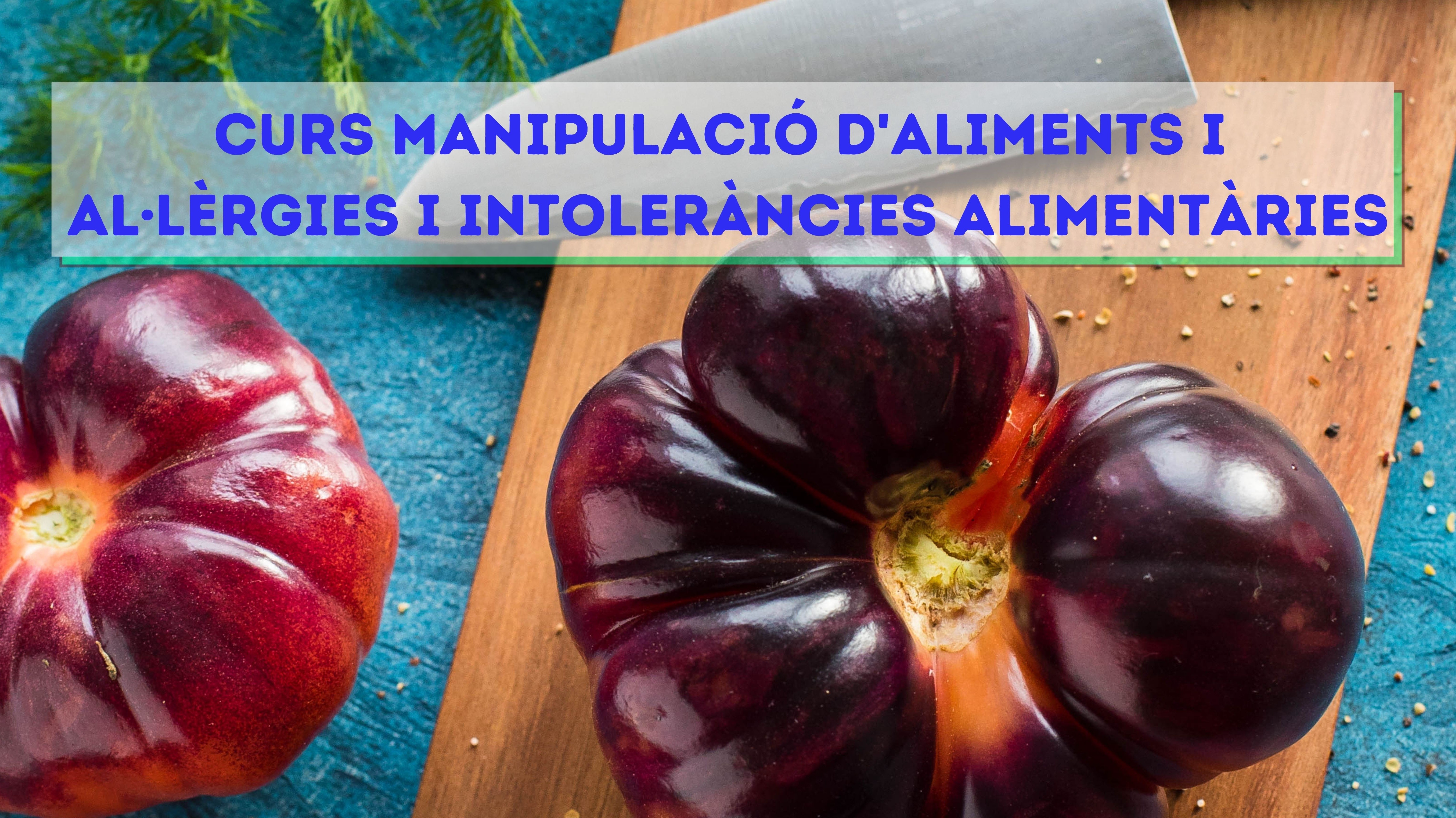 Curs de MANIPULACIÓ D'ALIMENTS I AL·LÈRGIES I INTOLERÀNCIES ALIMENTÀRIES